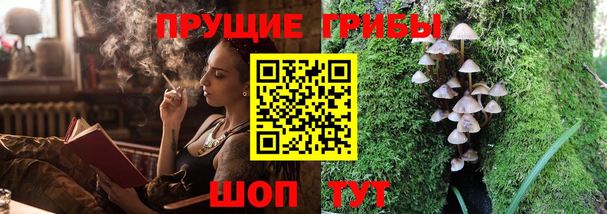 продажа наркотиков  Вход с VPN  Галлюциногенные грибы Cubensis  Тольятти  Псилоцибиновые грибы Psilocybe 