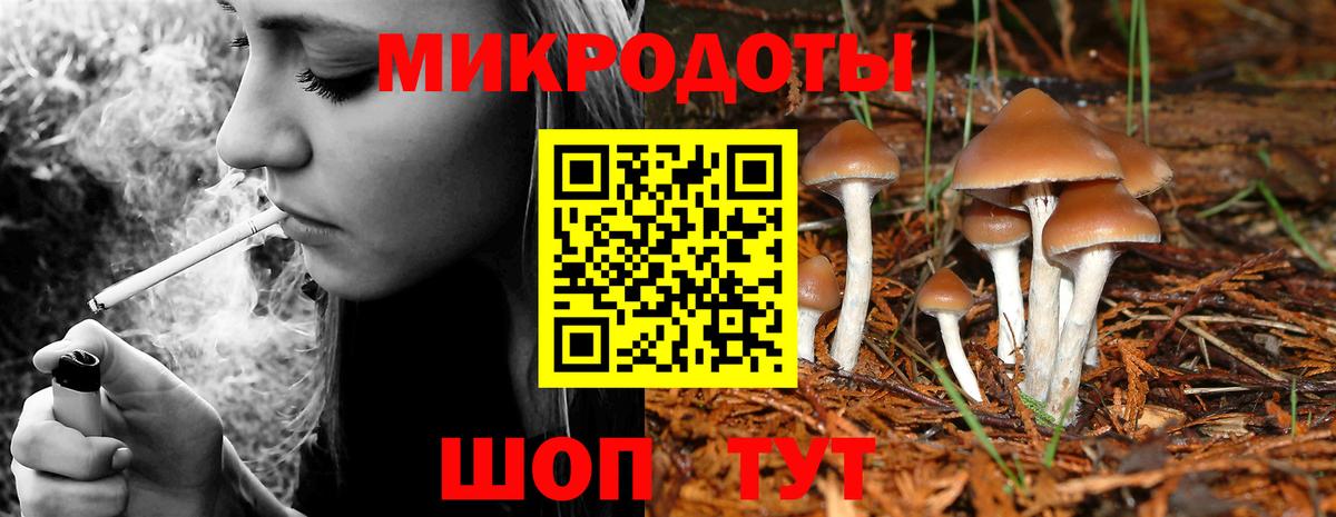 Галлюциногенные грибы мицелий Тольятти